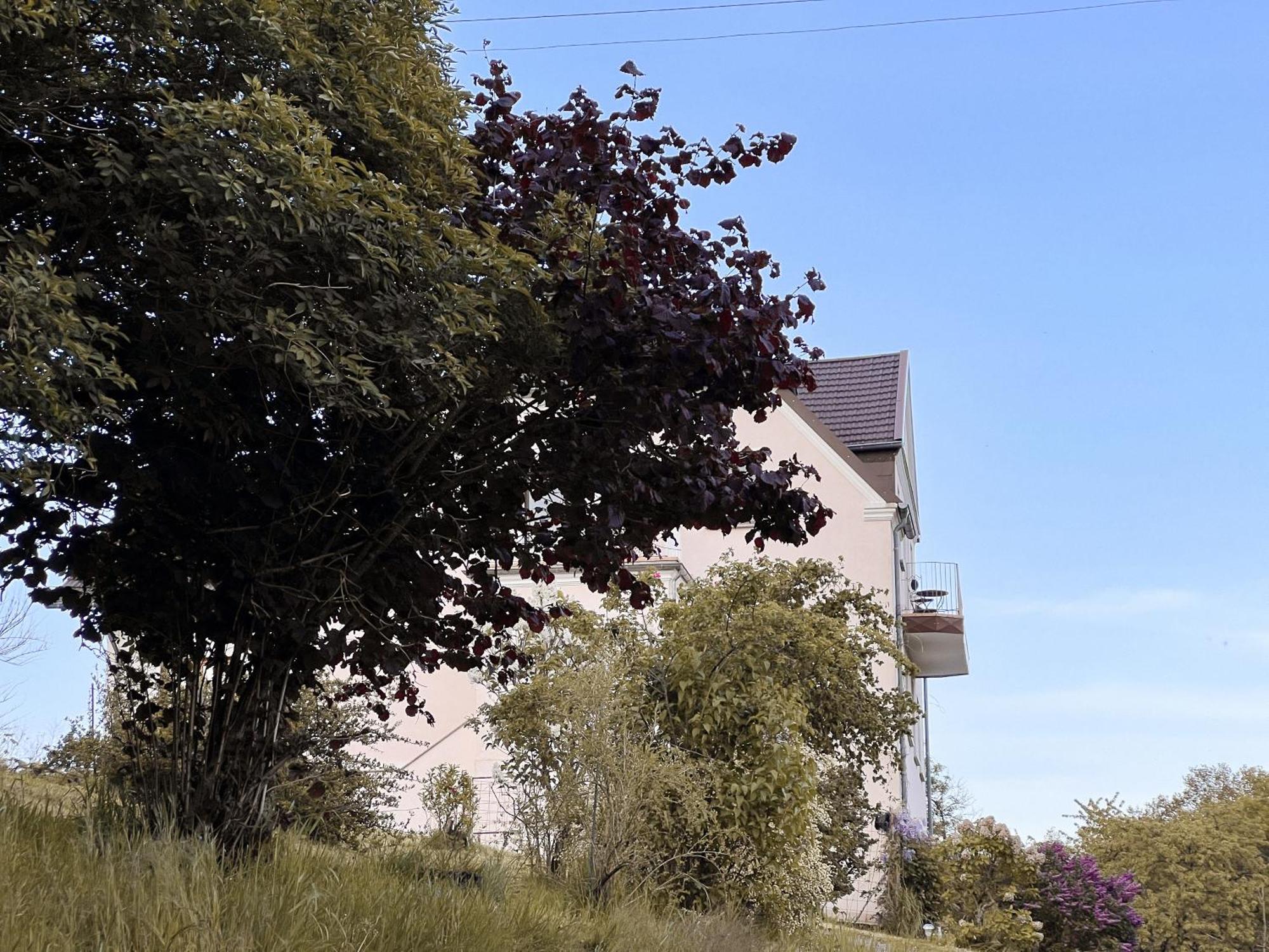 Villa Ueberblick Nalbach Экстерьер фото