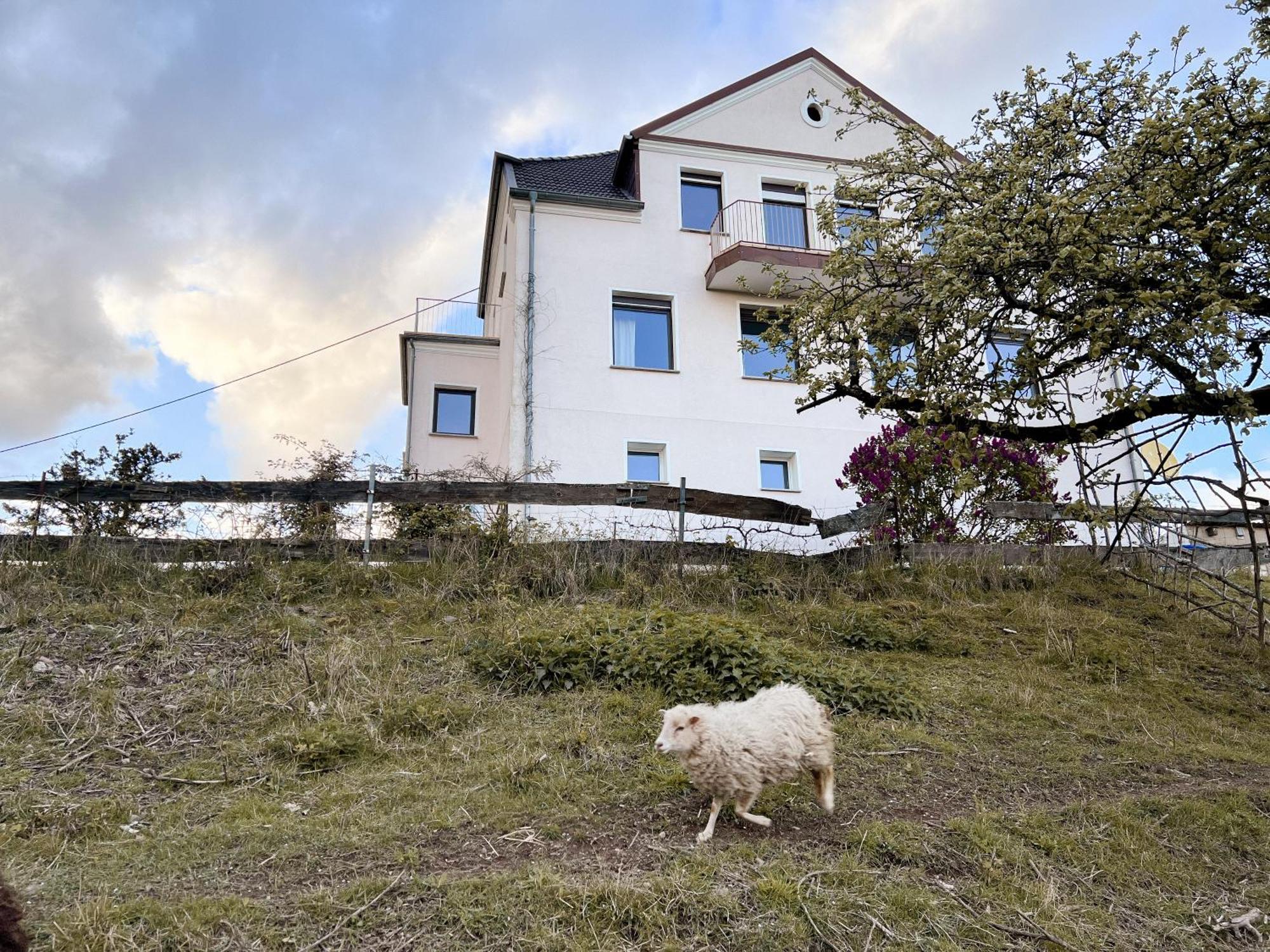 Villa Ueberblick Nalbach Экстерьер фото